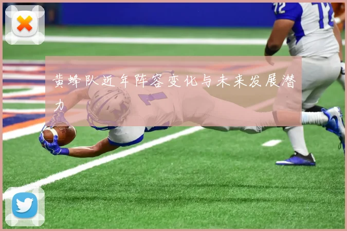 黄蜂队近年阵容变化与未来发展潜力