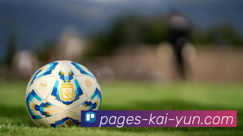 开云APP 高清赛事图