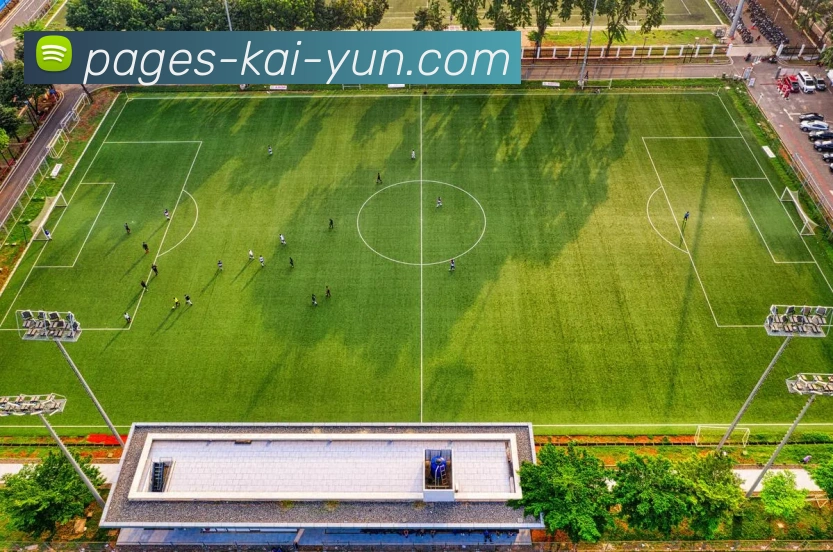 数据防护可视化